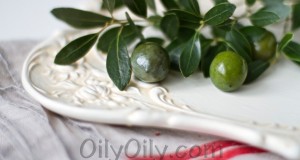 olive oil acne