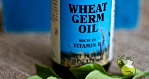 wheat germ oil nutrition