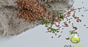 flaxseed oil health benefits