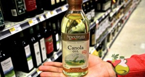 canola oil allergy