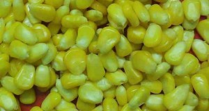 stitute corn oil vegetable oil