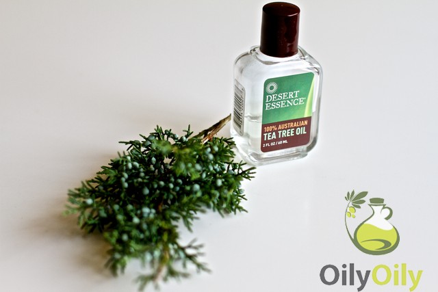 tea tree oil for herpes