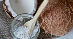 where to buy coconut oil