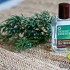 tea tree oil for cats