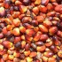 red palm oil for skin