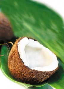 coconut on the leaf