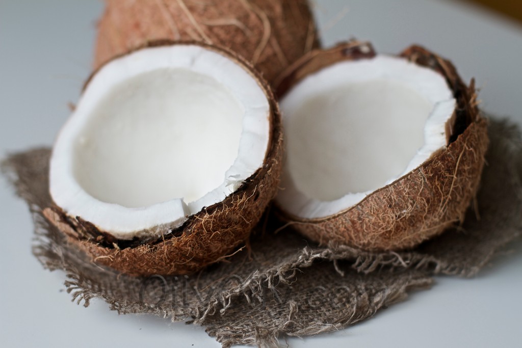 Coconut oil nutrition