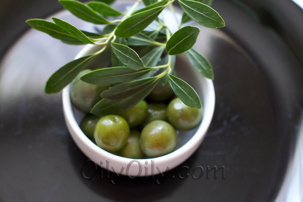 olive oil hair growth