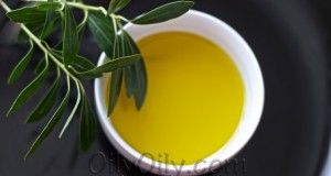olive oil hair mask