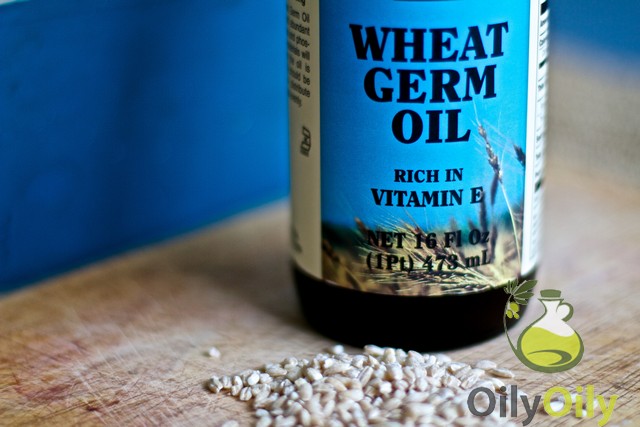 wheat germ uses