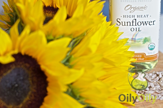 sunflower oil hair