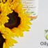 sunflower oil vs vegetable oil