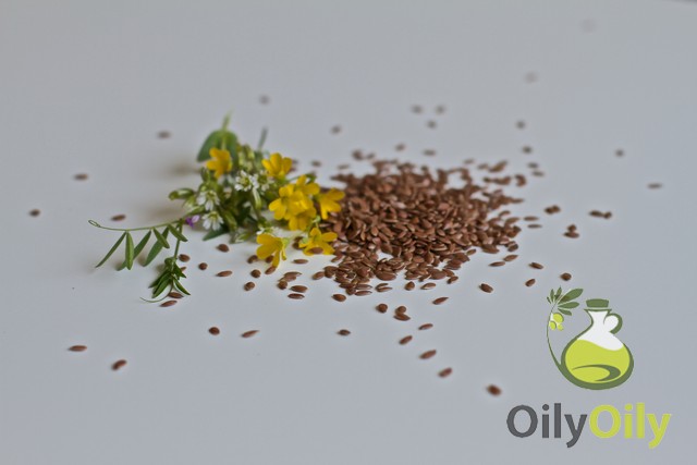 flaxseed oil vs fish oil