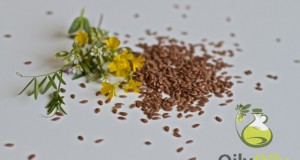 flaxseed oil weight loss