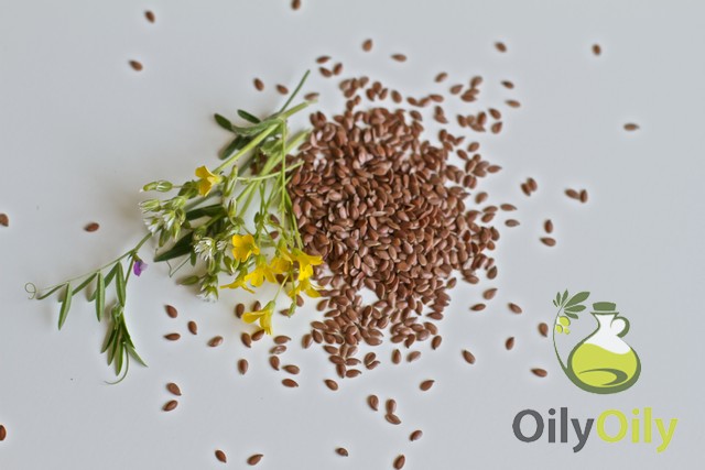 flaxseed oil bodybuilding