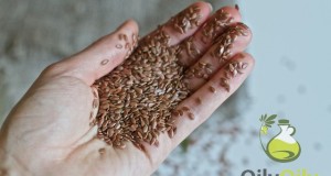flaxseed oil benefits for women
