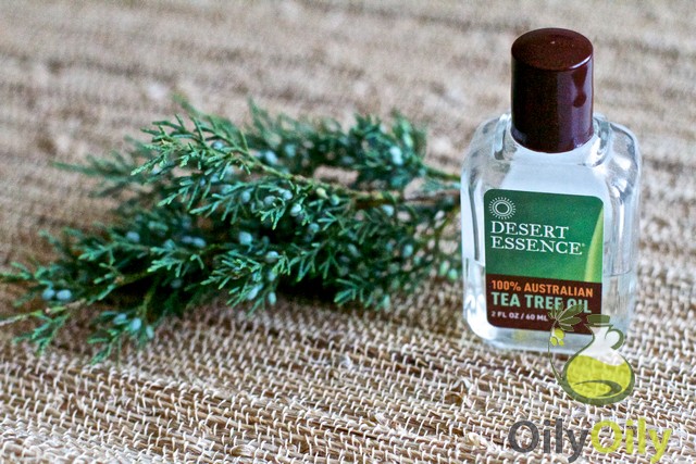 tea tree oil benefits