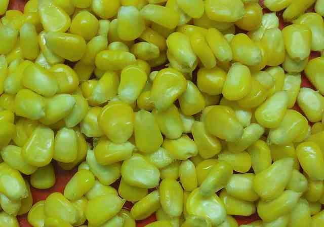 foods that contain corn oil