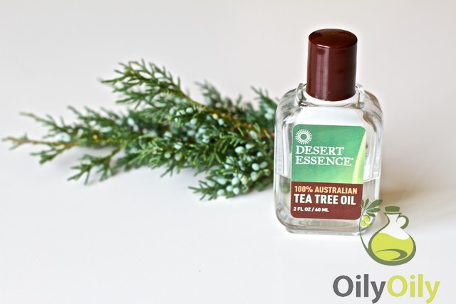 tea tree oil toner