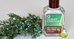 tea tree oil for tinea versicolor
