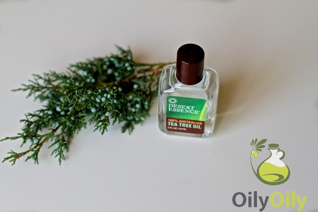 tea tree oil for dogs