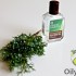 tea tree oil for sinus infection