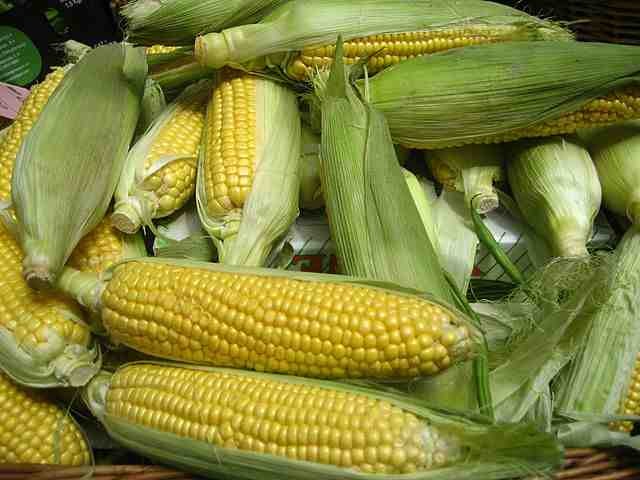 how to make corn oil
