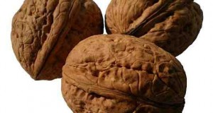 walnut oil recipes