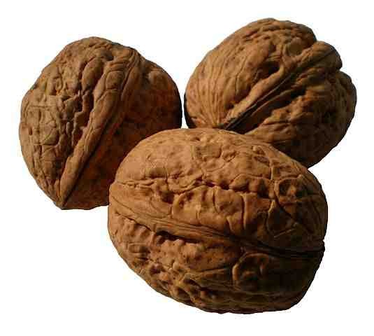 walnut oil recipes