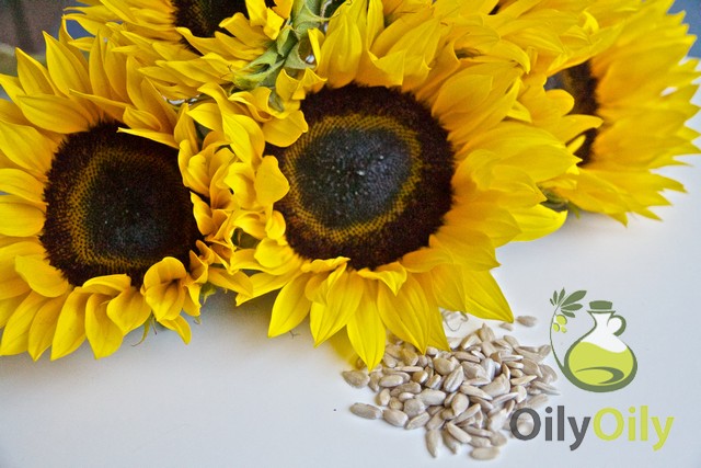 what is sunflower oil