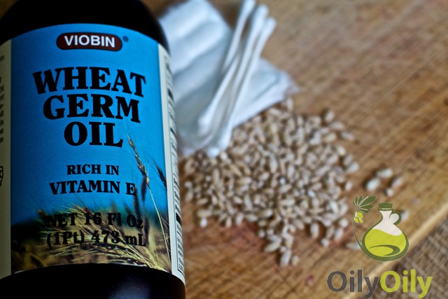 wheat germ oil for dogs