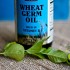 wheat germ oil benefits