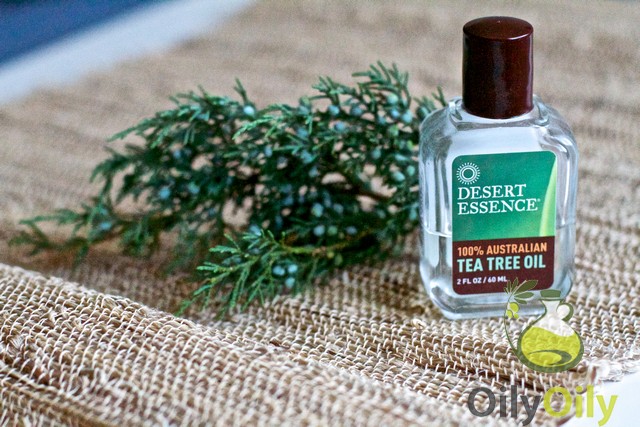 what is tea tree oil