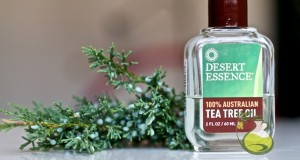 tea tree oil for nail fungus