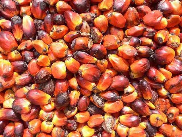 red palm oil for skin