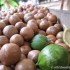 macadamia nut oil for hair