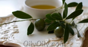 olive oil moisturizer