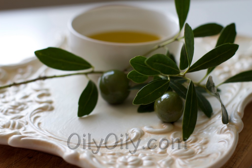 olive oil moisturizer