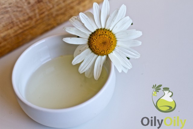 how to make chamomile oil
